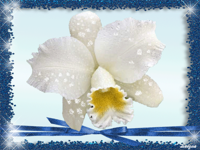 анимашки Цветы