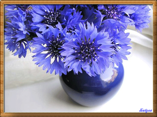 анимашки Цветы