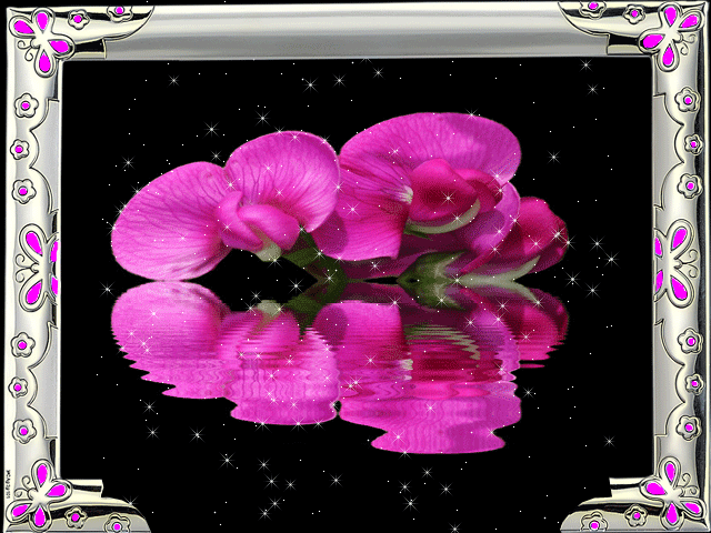 анимашки Цветы