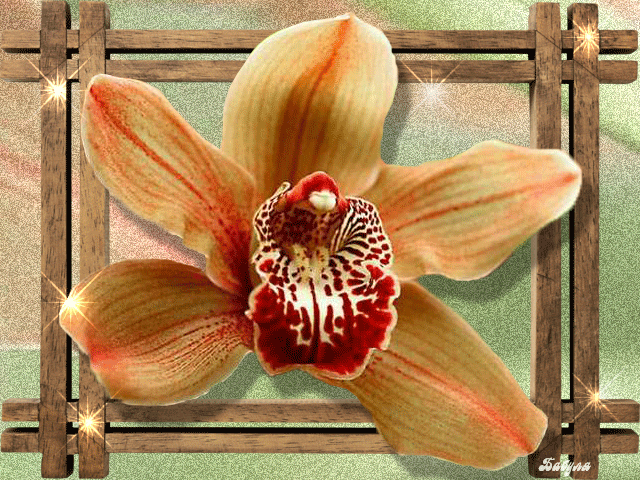 анимашки Цветы