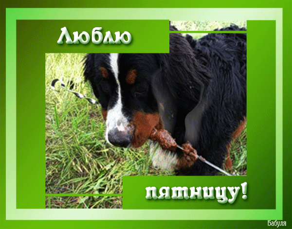 анимашки Пятница