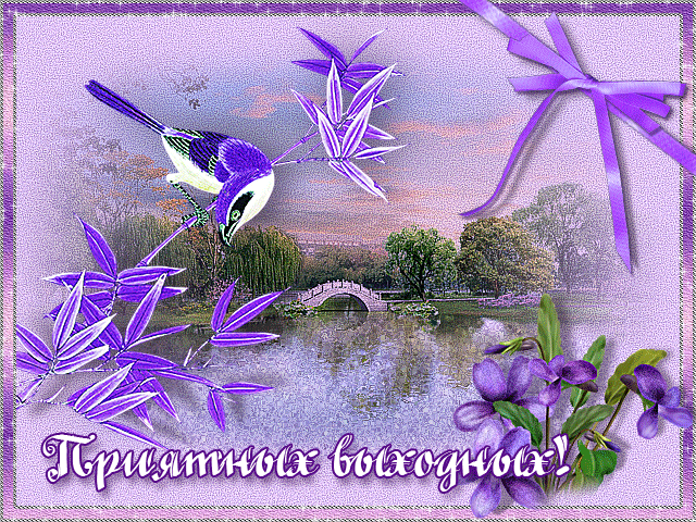 анимашки Выходные