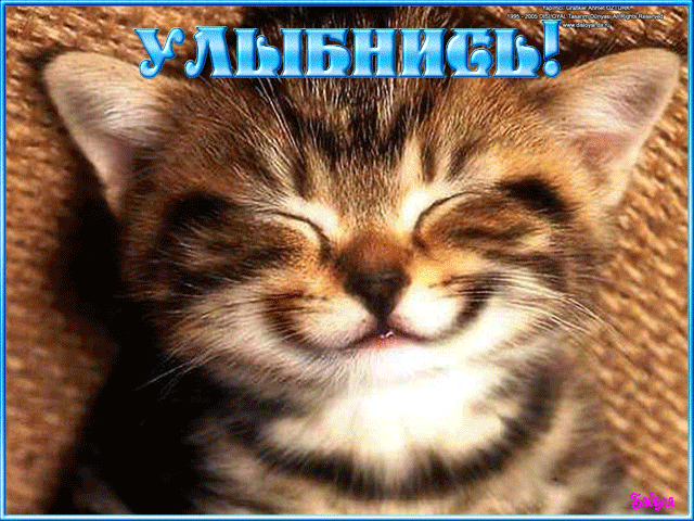 анимашки улыбнись