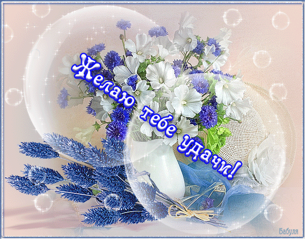 анимашки удачи