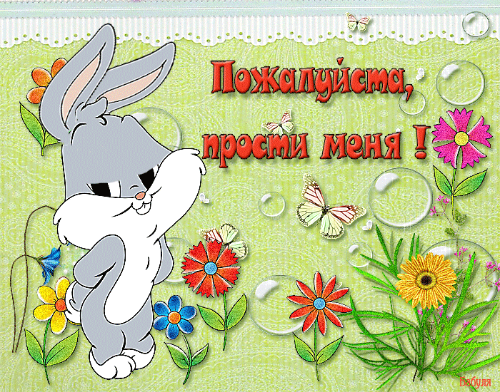 анимашки прости