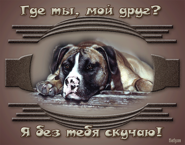 анимашки скучаю