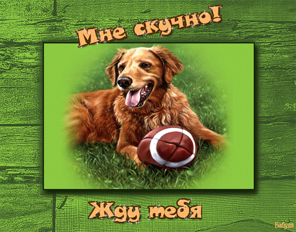 анимашки скучаю